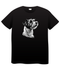 PETL-009