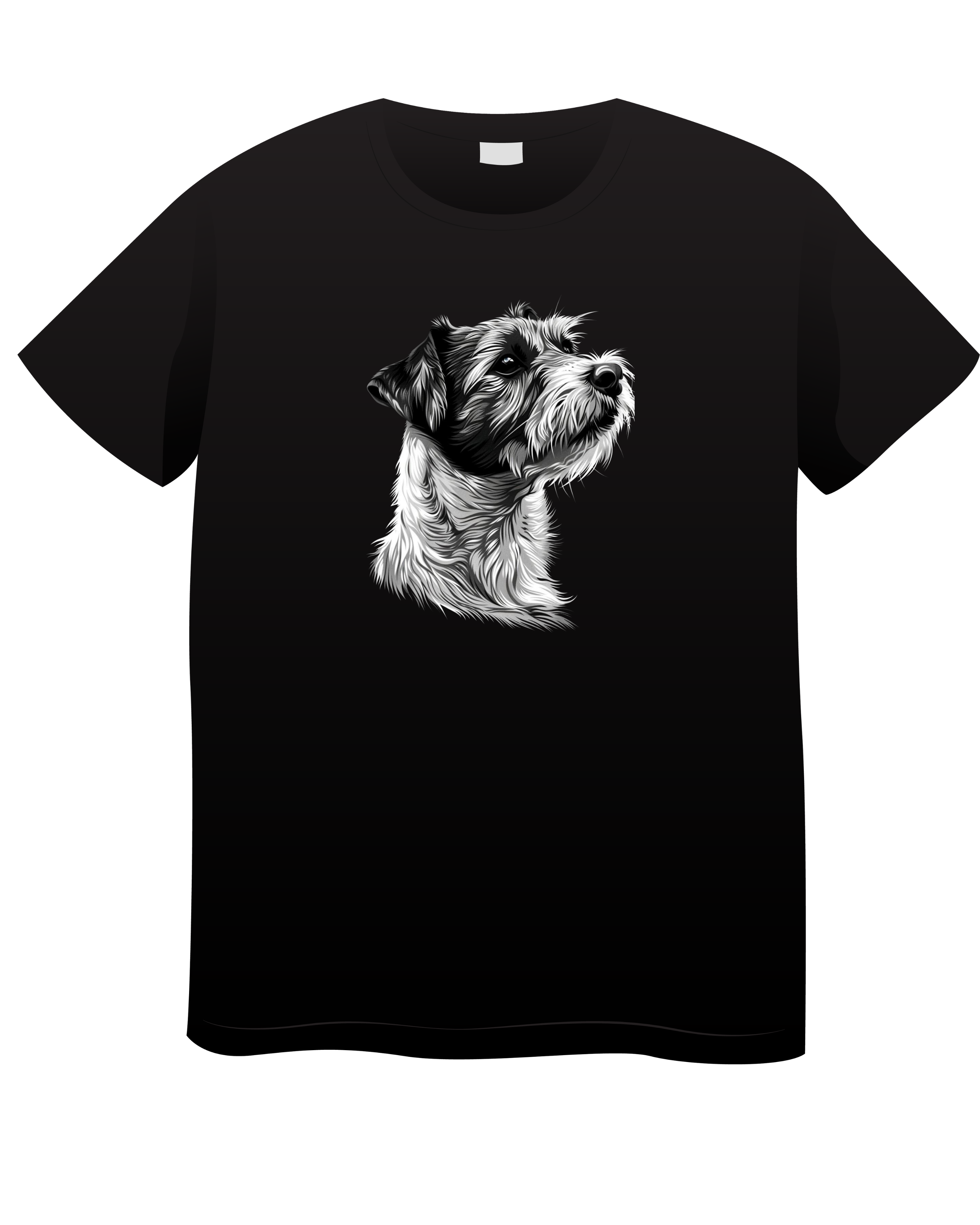 PETL-009