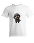 PETL-006
