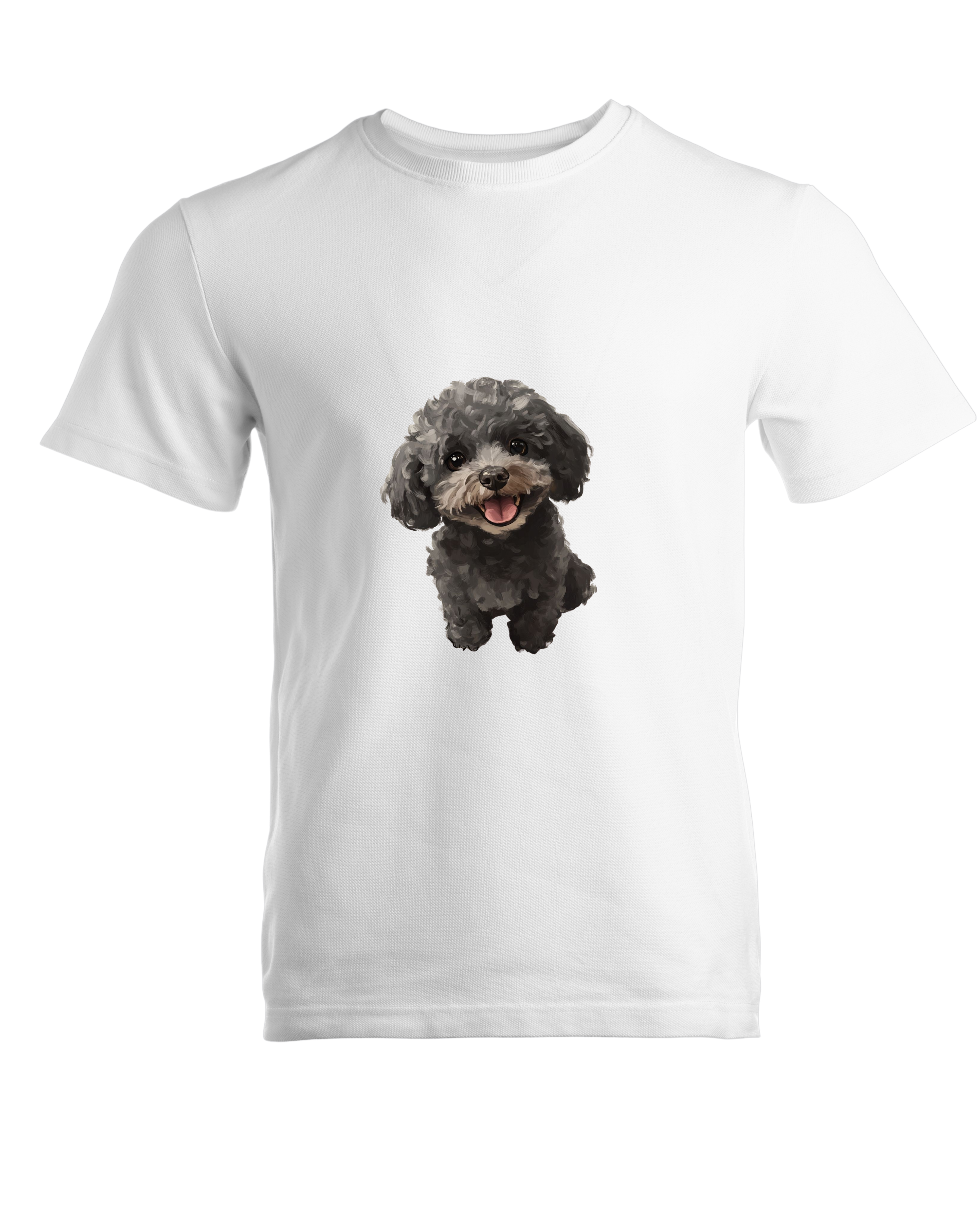 PETL-006